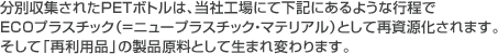 分別収集されたPETボトルは、当社工場にて下記にあるような行程で
ECOプラスチック（=ニュープラスチック・マテリアル）として再資源化されます。
そして「再利用品」の製品原料として生まれ変わります。